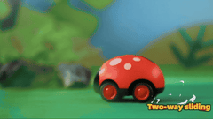 double inertica insect beetle